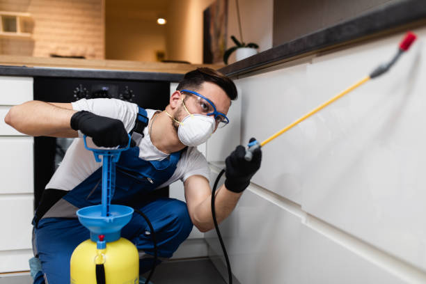 Best Wasp Removal Services  in Newberry, MI