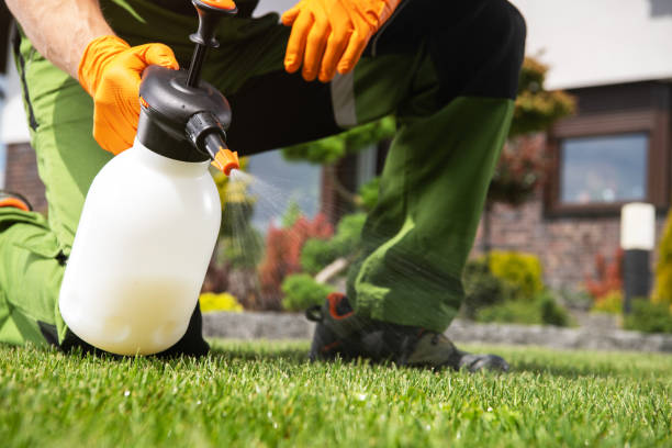 Best Pest Control Treatment  in Newberry, MI