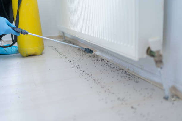 Best Affordable Pest Control Services  in Newberry, MI